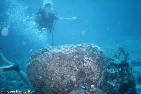 24a - Diver hit by huge rock -