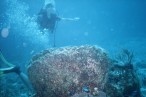 24a - Diver hit by huge rock -